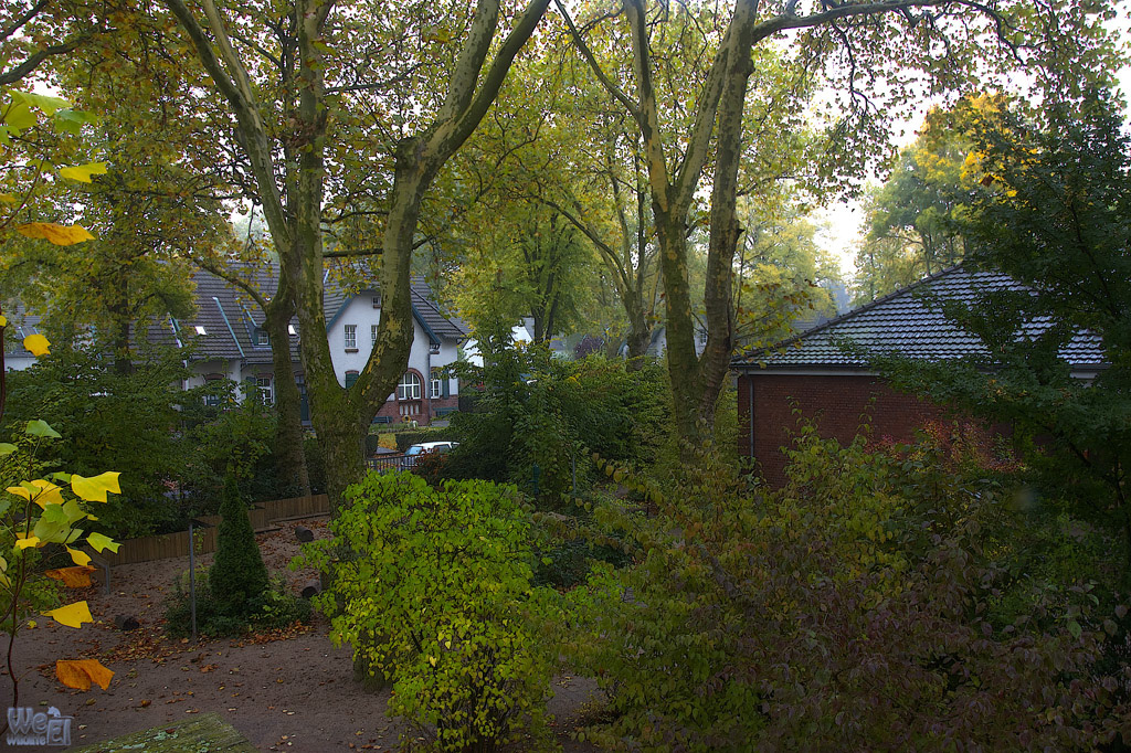Morgennebel_HDR2