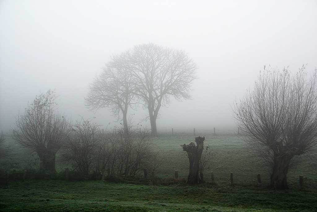 November%20am%20Niederrhein