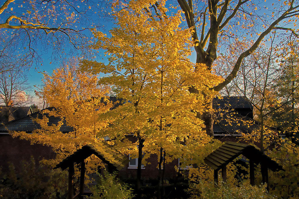 so%20leuchtet%20der%20Herbst