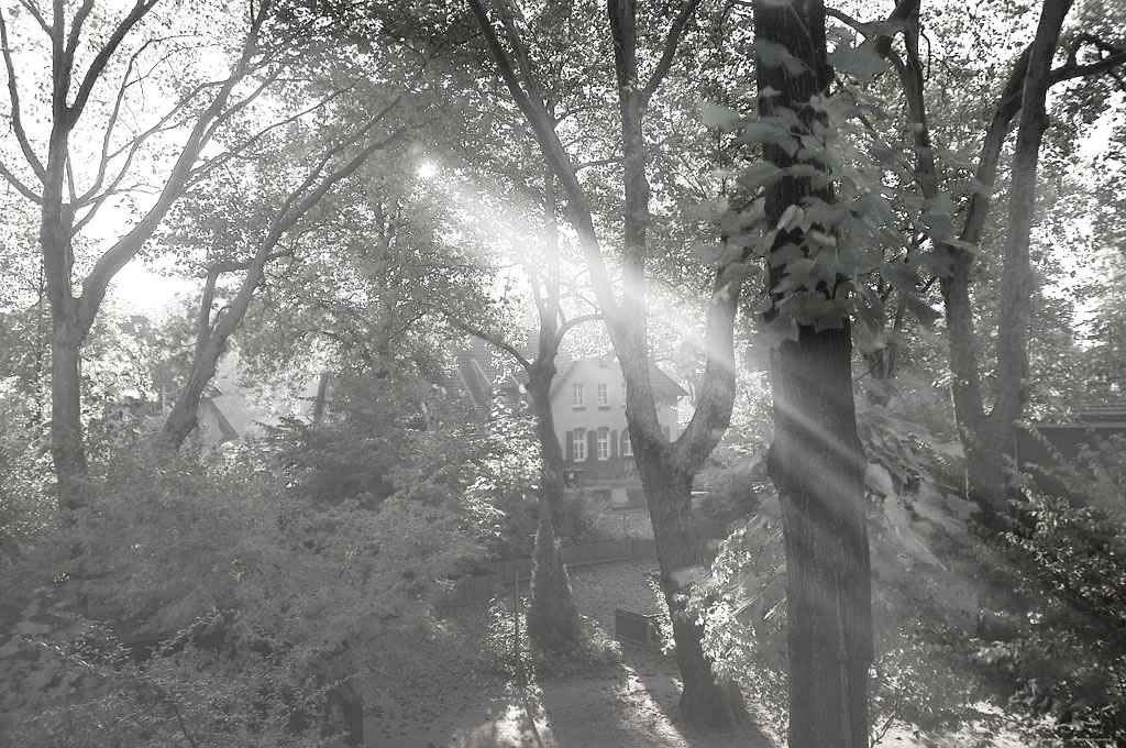 Morgensonne