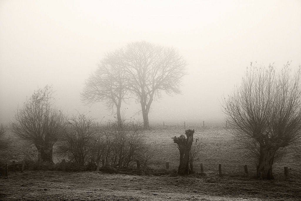 November%20am%20Niederrhein