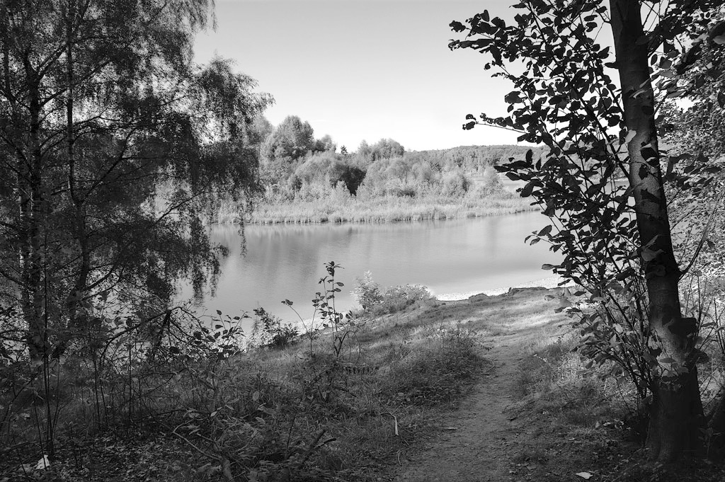 Waldsee_4_sw