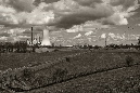 IMG_0956