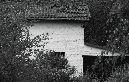 IMG_7132