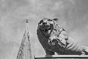 IMG_7511