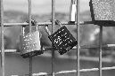 IMG_7752