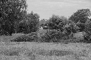 IMG_8887
