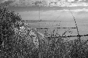 IMG_9058