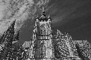 IMG_9806