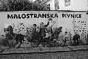 IMG_9836