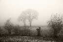 November%20am%20Niederrhein
